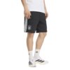Deutschland DNA Fleece-Shorts